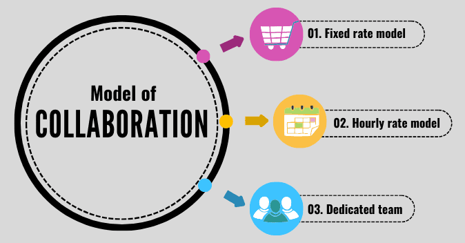 project software development cost